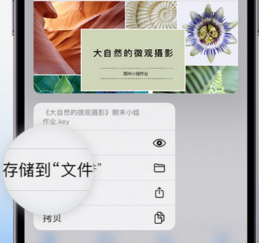 察哈尔右翼前apple维修中心分享iPhone文件应用中存储和找到下载文件