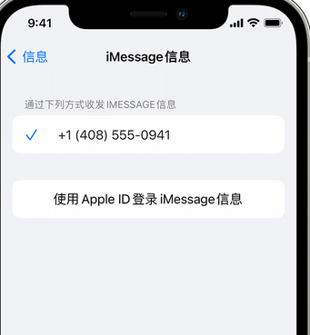 察哈尔右翼前apple维修iPhone上无法正常发送iMessage信息 