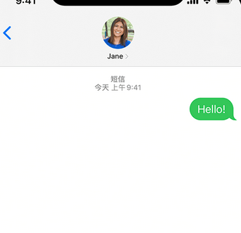 察哈尔右翼前apple维修iPhone上无法正常发送iMessage信息