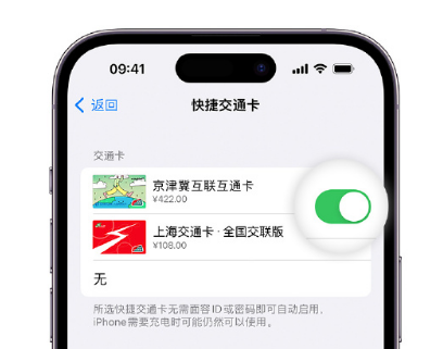 察哈尔右翼前apple维修点分享iPhone上更换Apple Pay快捷交通卡手绘卡面 