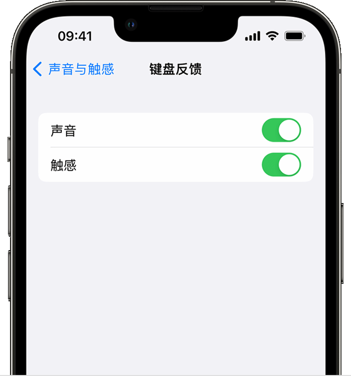 察哈尔右翼前苹果14维修店分享如何在 iPhone 14 机型中使用触感键盘 