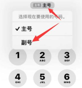 察哈尔右翼前苹果14维修店分享iPhone 14 Pro Max使用副卡打电话的方法 