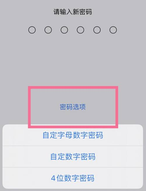 察哈尔右翼前苹果14维修分享iPhone 14plus设置密码的方法 