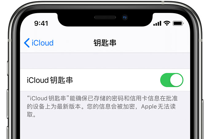 察哈尔右翼前苹果手机维修分享在 iPhone 上开启 iCloud 钥匙串之后会储存哪些信息 